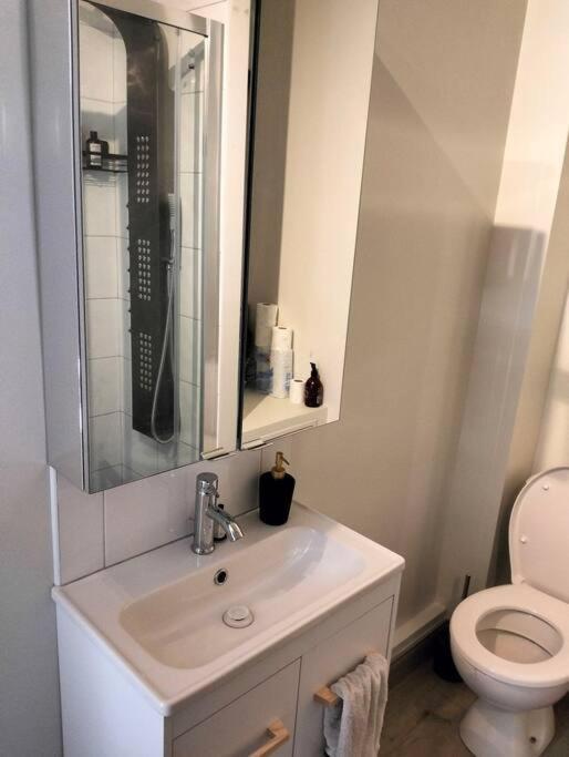 Charmant Logement, Vue Sur Toulouse 1 Min Du Metro Eksteriør billede